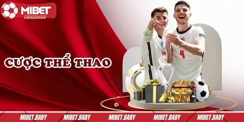 Hệ thống cá cược thể thao cực đỉnh