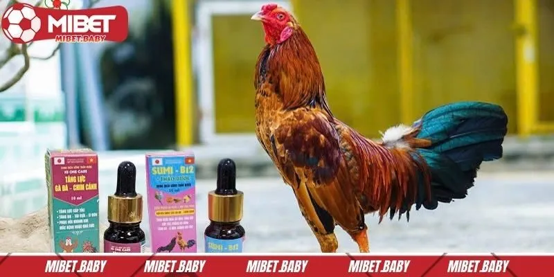 Thuốc phục hồi với khả năng làm mát gan, giải độc nội tạng, hồi sức