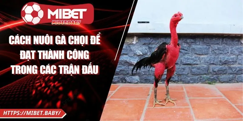 avt